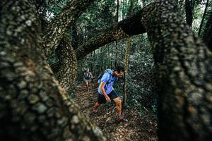 BIB: 
                            <button type="button" onclick="openModal(25392220)" class="btn btn-primary btn-sm float-right btn-popup" data-toggle="modal" data-target=".modal-high-quality">
                        <i class="fas fa-shopping-cart"></i> Add to Cart
                    </button>
                                            <button type="button" onclick="isThisMe(25392220, true)" class="btn btn-success btn-sm float-right btn-popup btn-isme hidden" data-toggle="tooltip" data-placement="bottom" title="นี่คือรูปของคุณใช่ไหม คลิกที่นี่เพื่อเอาเข้าอัลบั้ม">
                        <i class="fas fa-plus"></i> Add to album
                    </button>
                    <button type="button" onclick="isThisMe(25392220, false)" class="btn btn-warning btn-sm float-right btn-popup btn-isnotme hidden">
                        <i class="fas fa-ban"></i> Remove from album
                    </button>